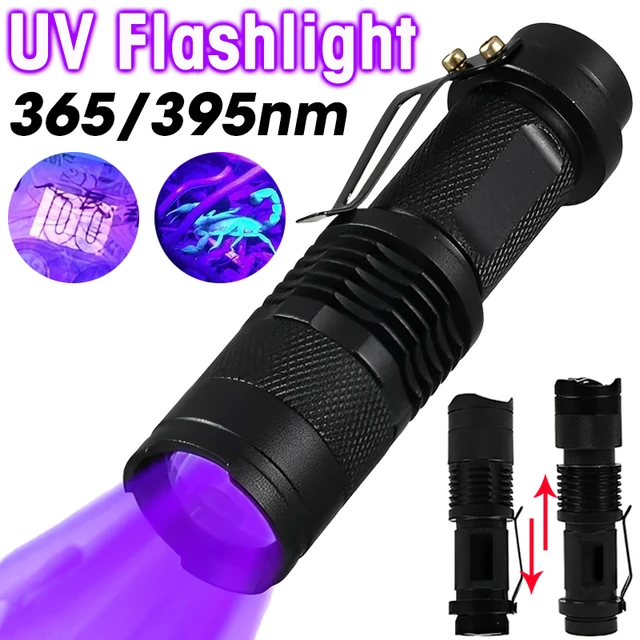 Comprar Linterna UV LED de 365nm y 395nm, linterna ultravioleta con enfoque  con zoom, Mini luz UV negra, Detector de manchas de orina de mascotas, caza  de escorpiones