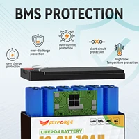 Batterie au Lithium LiFePO4 12V 10AH avec BMS 4000 + Cycles profonds batterie au Lithium Rechargeable pour détecteur de poisson lumière enfants voiture Camping 5