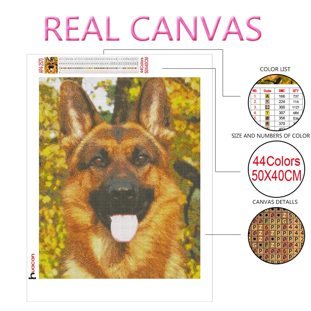 YSCOLOR Diamond Painting 5D – Cane Pomerania, Tela 30x40cm, Kit Completo Con Diamanti Rotondi E Strumenti, Mosaico Fai Da Te