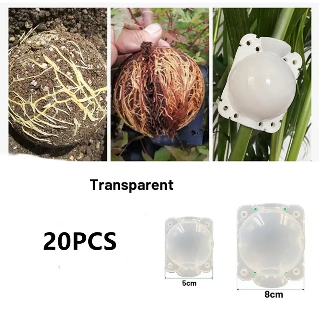 20/10pcs 5cm/8cm Plant Root Growing Box High Pressure Propagation Ball Garden Graft Box Reusable Plant Rooting Equipment 4
