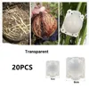 20/10pcs 5cm/8cm Plant Root Growing Box High Pressure Propagation Ball Garden Graft Box Reusable Plant Rooting Equipment 4