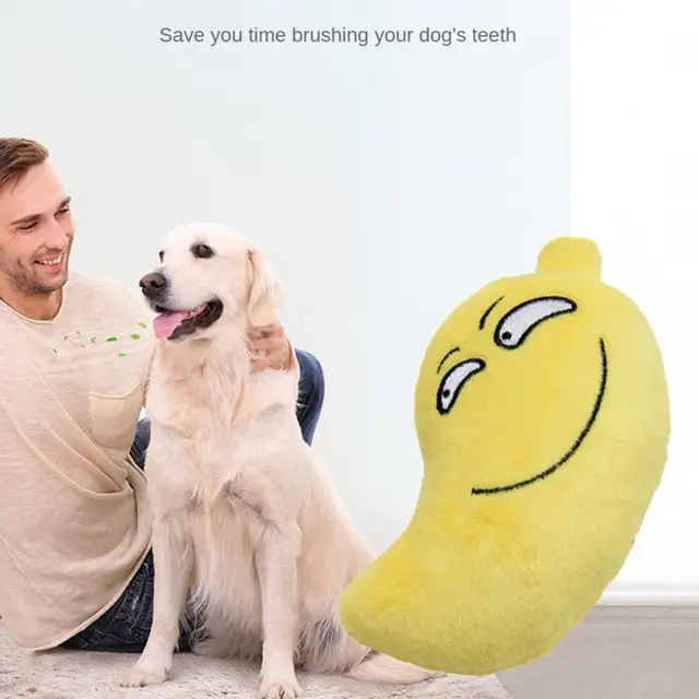 Puppy Dog Plush Squeaky Toys for Small Medium Dogs Fruit Kiwi Avocado Aggressive Chewers for Pet Cat Products Puppy Accessories 2