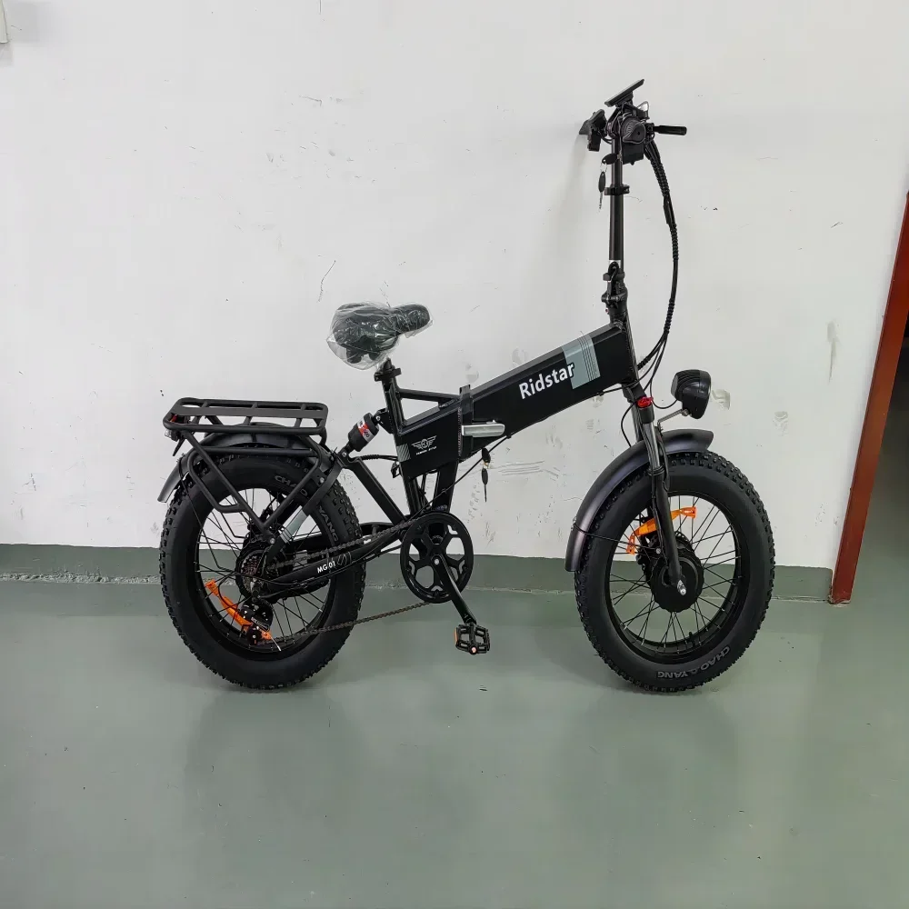 

New Mountain Off-Road E-bike 2000W Powerful Dual motor Snow Electric Bicycle 48V 23AH 20Inch*4.0 Fat Tire Foldable Electric Bike