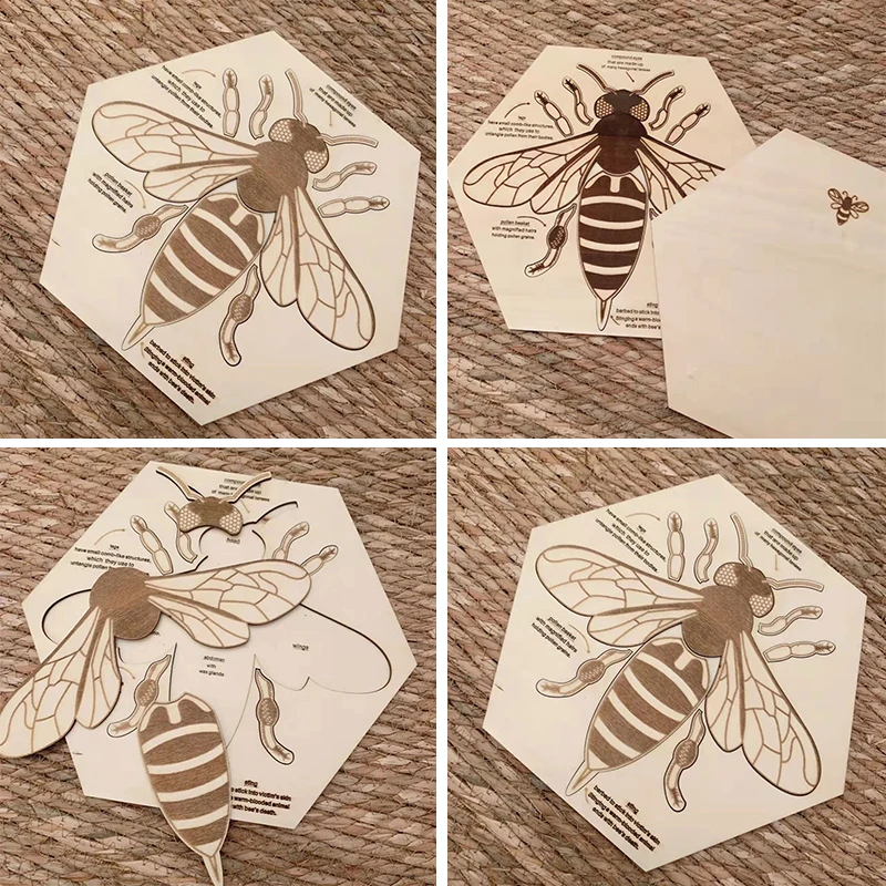 Montessori Wooden Life Cycle Puzzles Toy Bee Insect Structure Learning Plant Growth Cycle Science Teaching Aids Math Sorting Toy 2