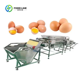 Macchina Automatica per la Pulizia delle Uova per Uso Agricolo Personalizzabile, Attrezzatura per la Produzione di Uova Lavate con Deposito Anticipato
