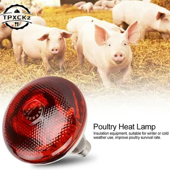 Infrared Heat Lamp Waterproof Anti-Explosion Thickened Light Bulbs For Piglet Chicken Birds Pet Livestock E27 Small Heat Lamp