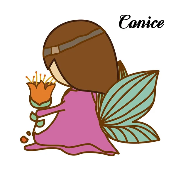 Boutique Conice Baby Clothes Store
