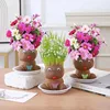 Room Decor Home Decoration Small Growing Grass Head Doll Plant Children Gift Indoor Balcony Pot Planters Greenery Ornament ﻿ 1