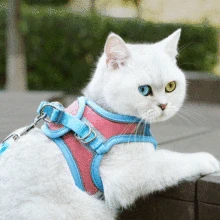 Breathable Small Pet Dog Harness and Leash Set Puppy Cat Vest Harness Collar for Chihuahua Pug Bulldog Dog Accessory