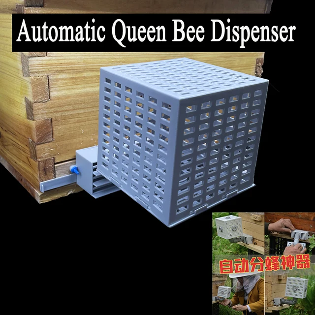 1Db Új Kialakítású Automatikus Méh Elválasztó Felügyelet Nélküli Drón Eltávolítása Műanyag Egyirányú Méhész Eszközök Nagy Űrdobozok Készletei