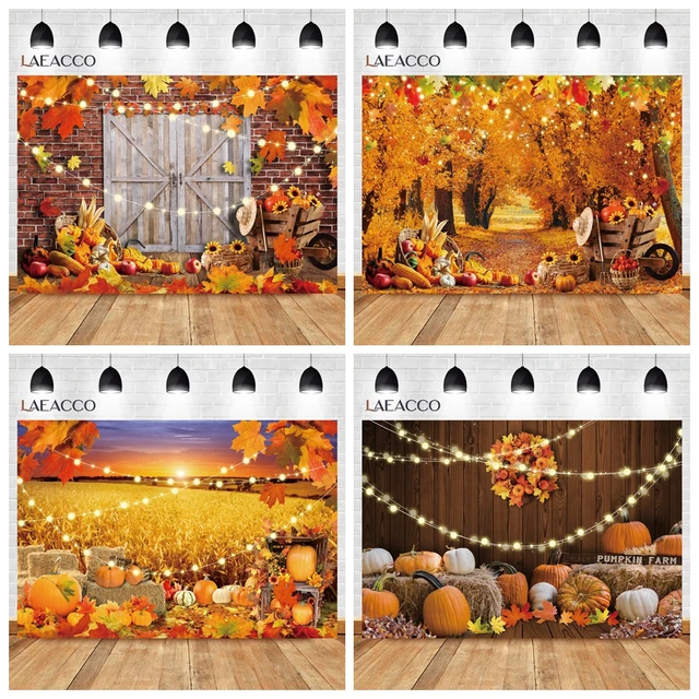 Autumn Fallen Leaves Maples Background Bumper Harvest Pumpkins Paddy Baby Newborn Party Indoor Portrait Photography Backdrop