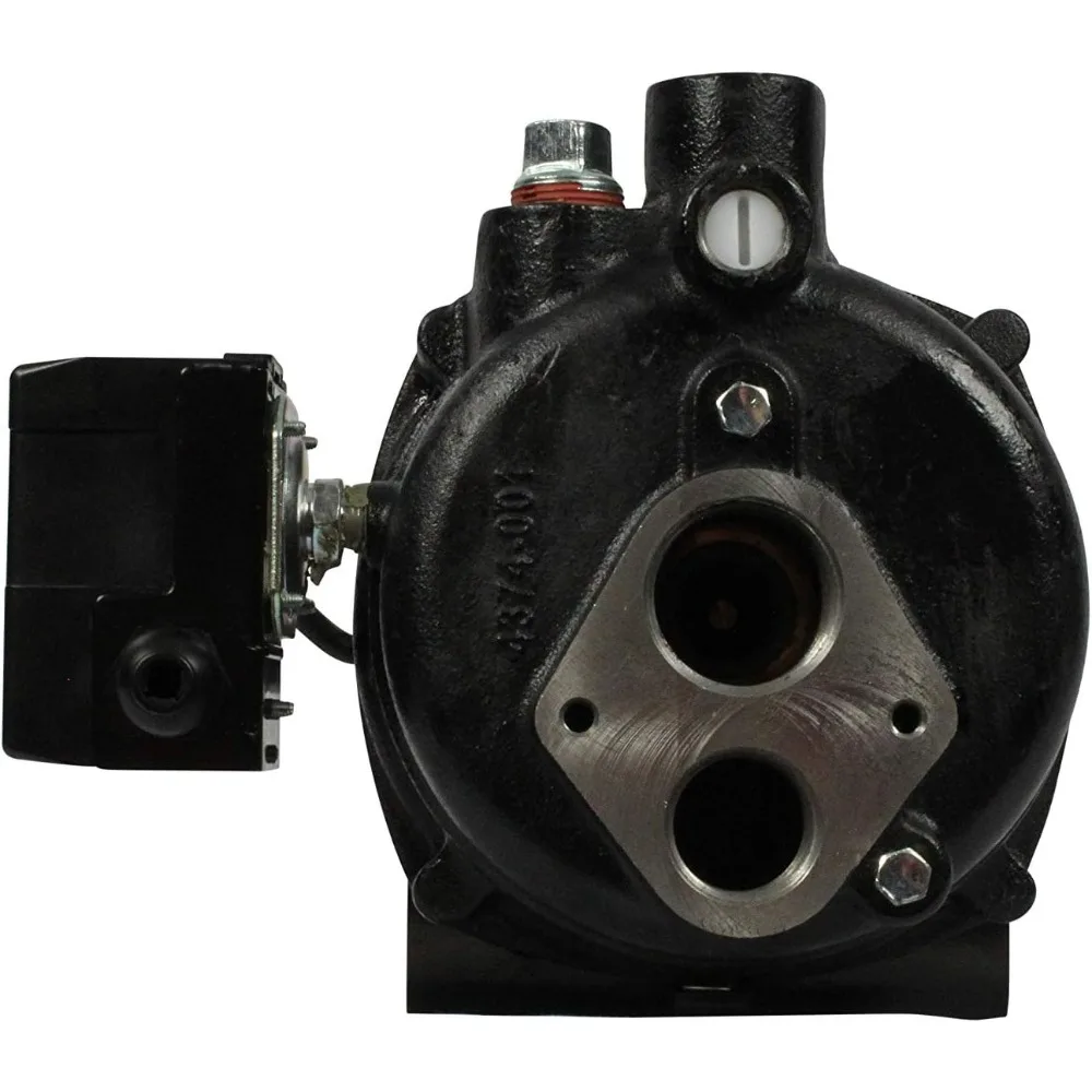 Wayne CWS100 1 Horsepower Cast Iron Jet Well Pump with 588 GPH Capacity - Heavy Duty, Black