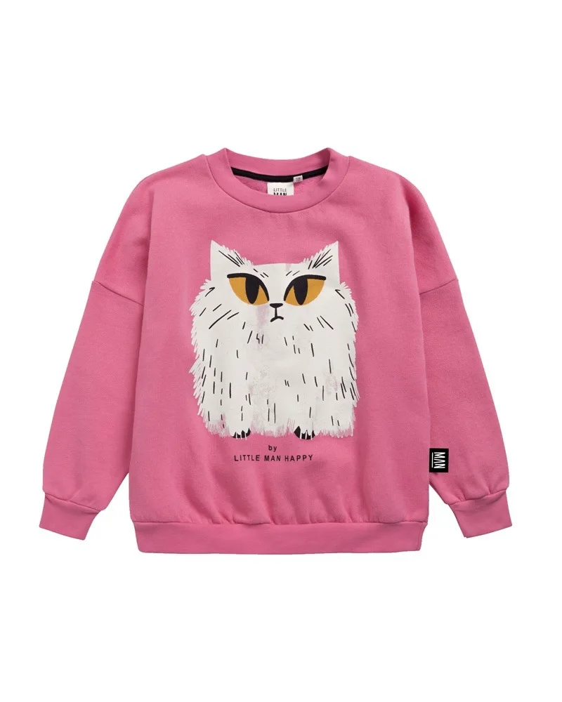 Kids Fleece Outfit children's autumn and winter fleece sweatshirt and pants