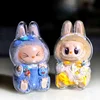 1Pc Mystery Box Storage Case For Plush Dolls Display Bag for Korea Kpop Exo labubu v1 v2 sitting party no doll 2