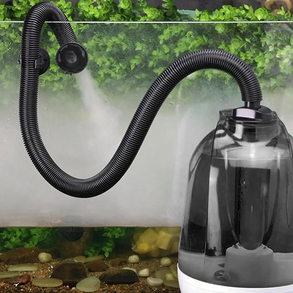 3l 뷮   , ̽Ʈ   ȣ 