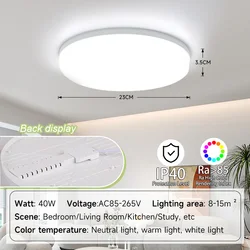 Ultra - Thin Modern LED Ceiling Lamp Chandelier (Cold White)