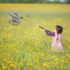 Retractable Fishing Net Butterflies Catching Bug Net Outdoor Fold Telescoping Bug Stainless Steel Catcher Picnic Camping Supply 4