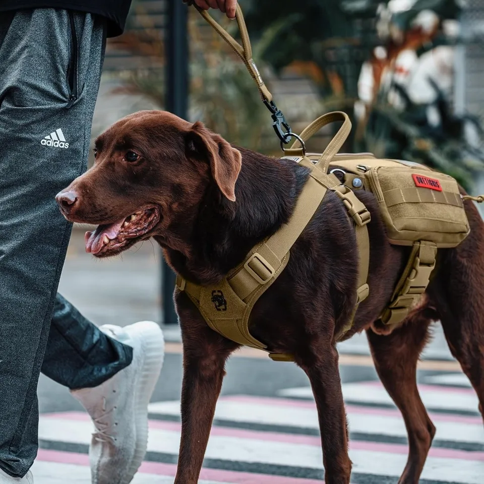 Adjustable Service Dog Vest Harness with Backpack