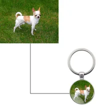 

Custom Cat And Dog Photo Keychain Cute Pet Cat And Dog Photo Glass Crystal Pendant Ladies Men Souvenir Jewelry Accessories