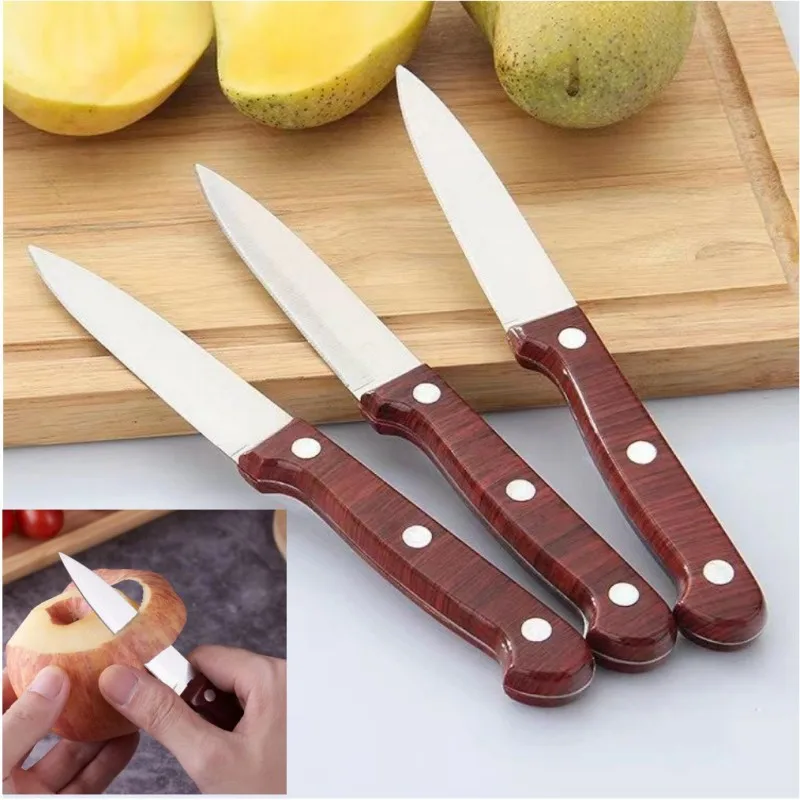 Stainless Steel Fruit Paring Knives 4