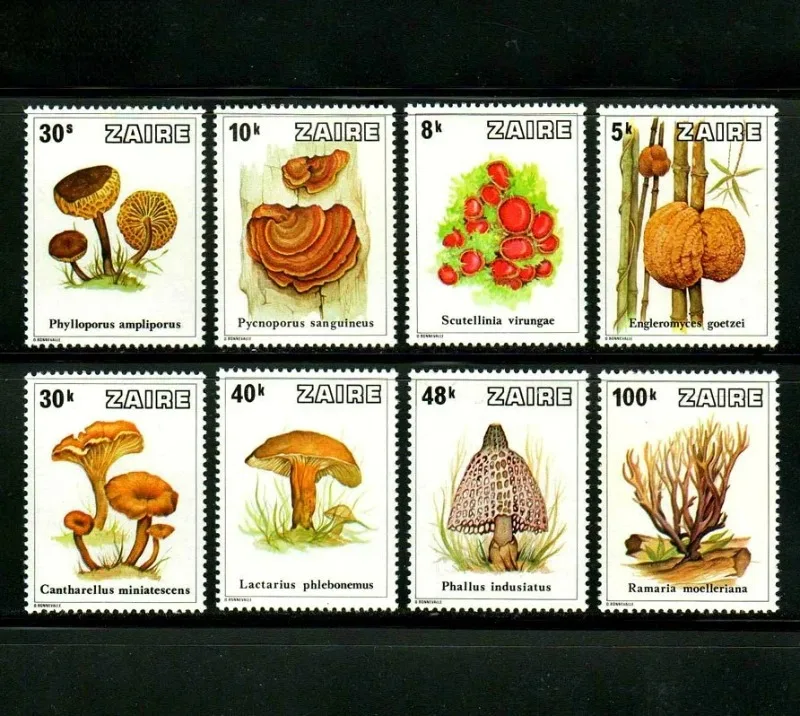 

8 PCS/Set,Zaire,1979,Mushroom Stamp,Plant Stamp,High Quaility,Good Condition Collection,New Stamp,MNH