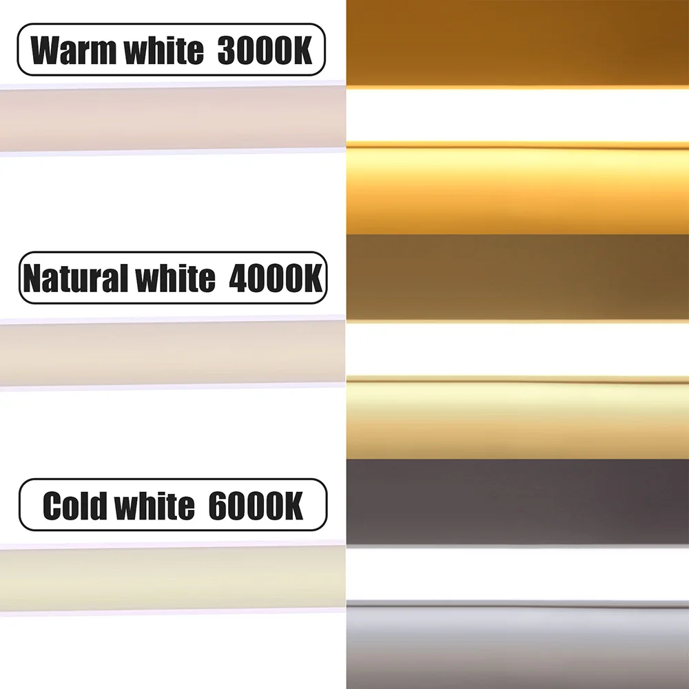 S2a532f9bf8f34412b1a6d200203f5ea9J