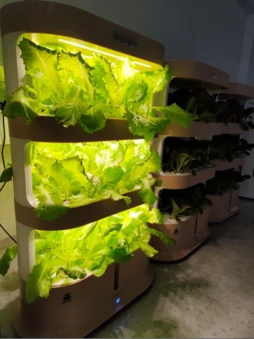 Hydroponic intelligent multi-layer vegetable planter indoor soilless cultivation equipment for vegetable seedlings 3