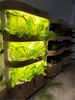 Hydroponic intelligent multi-layer vegetable planter indoor soilless cultivation equipment for vegetable seedlings 3