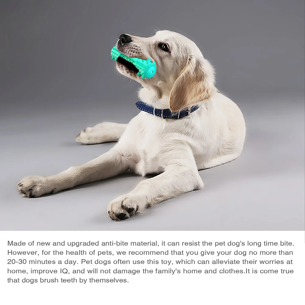 Squeaky Chew Water Floating Large Dog Toy Rubber Teeth Clean Interactive Training Toys Pet Labrador Golden Retriever Supplie 5