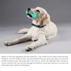 Squeaky Chew Water Floating Large Dog Toy Rubber Teeth Clean Interactive Training Toys Pet Labrador Golden Retriever Supplie 5