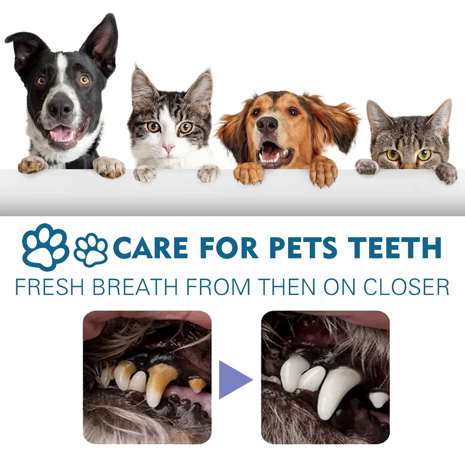 Pet Oral Cleaning Spray, Dog and Cat Tartar Removal and Bad Breath Refreshing Oral Care Spray