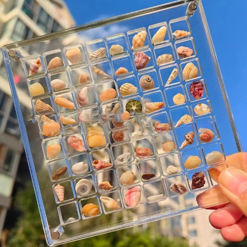

Magnetic Acrylic Seashell Display Stand Box Seashell Display Diamond Small Craft Organizers Mini Storage Box 36/64/100 Grids