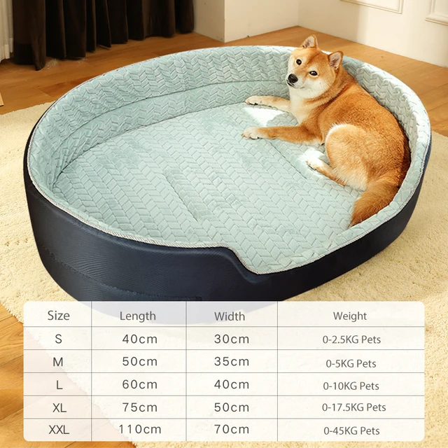 without cushion B