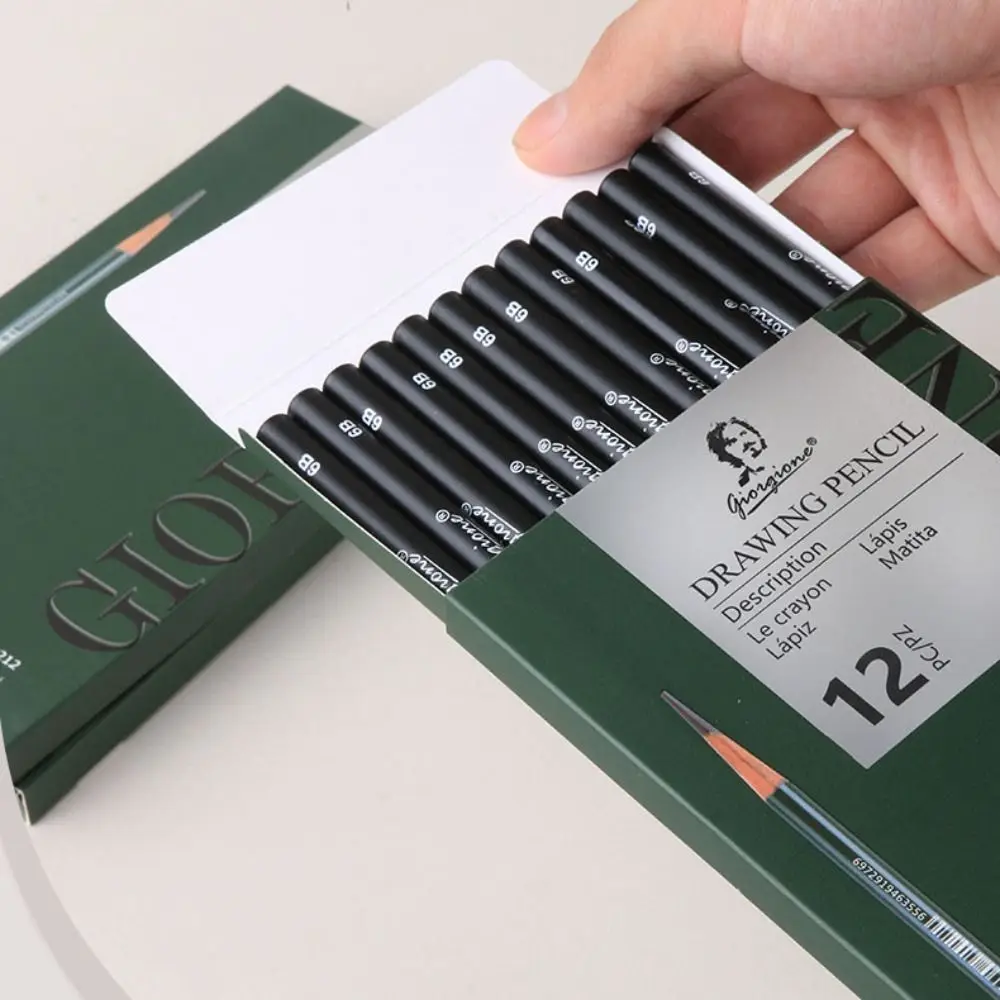 Dyvicl Professional Charcoal Pencils Drawing Set 12 Pieces Soft, Ediu...
