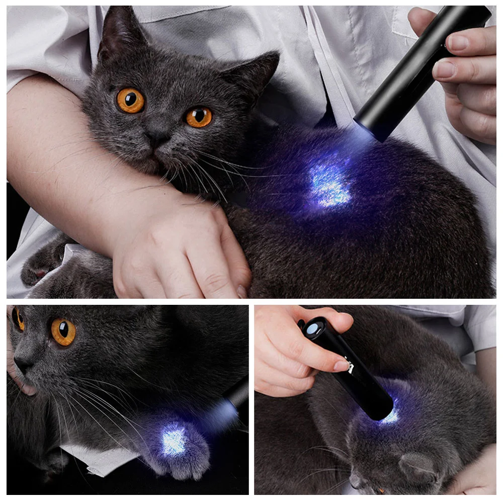 Рисунок 3 - USB Перезаряжаемый ультрафиолетовый фонарик 365 нм