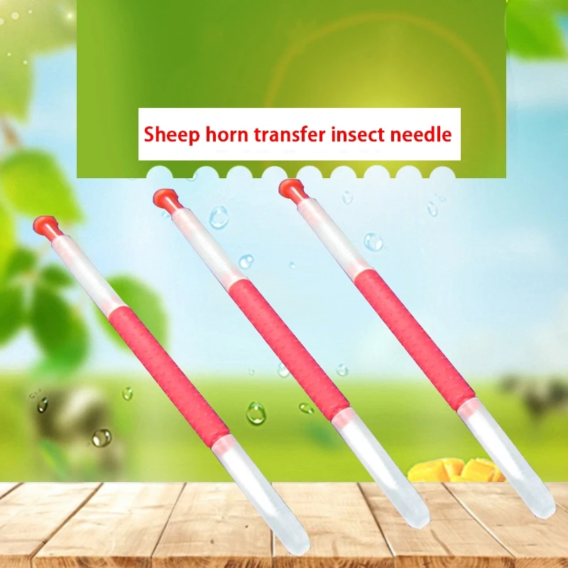 Beekeeping Grafting Tool Bee Queen Larva Apiculture Retractable Grafting Equipment New Supplies Pszczelarstwo Tools 10pcs