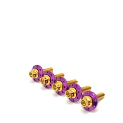 5 - Piece Motorcycle Mudguard Fairing Screws Set - M8x60mm (A - Purple)