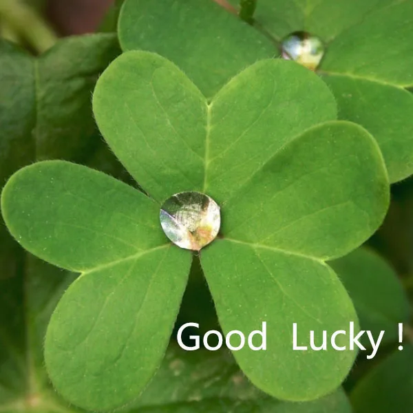 Shop1102400021 Store