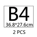 2pcs B4 random color