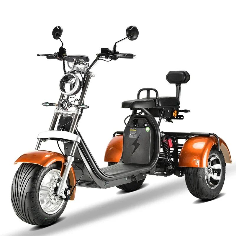 Tricicli Elettrici Ebike A Tre Ruote 3 Ruote Cargo Trikes Fat Tire Bici Elettriche A Tre Ruote Per Adulti
