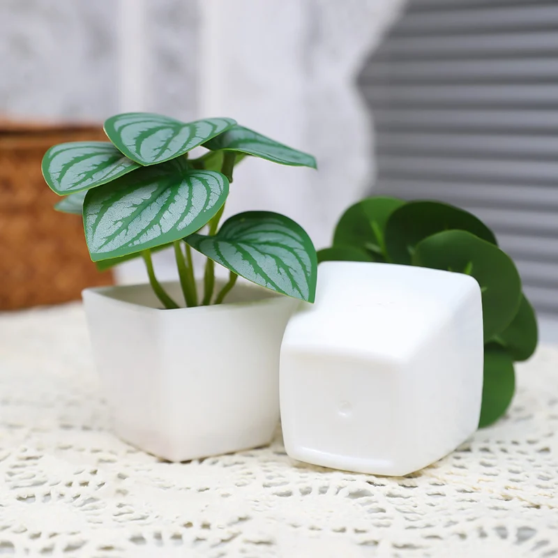 6PCS Artificial Evergreen Plant Bonsai, Suitable For Home, Restaurant, Office, Desktop, And Window Sill Decoration 5