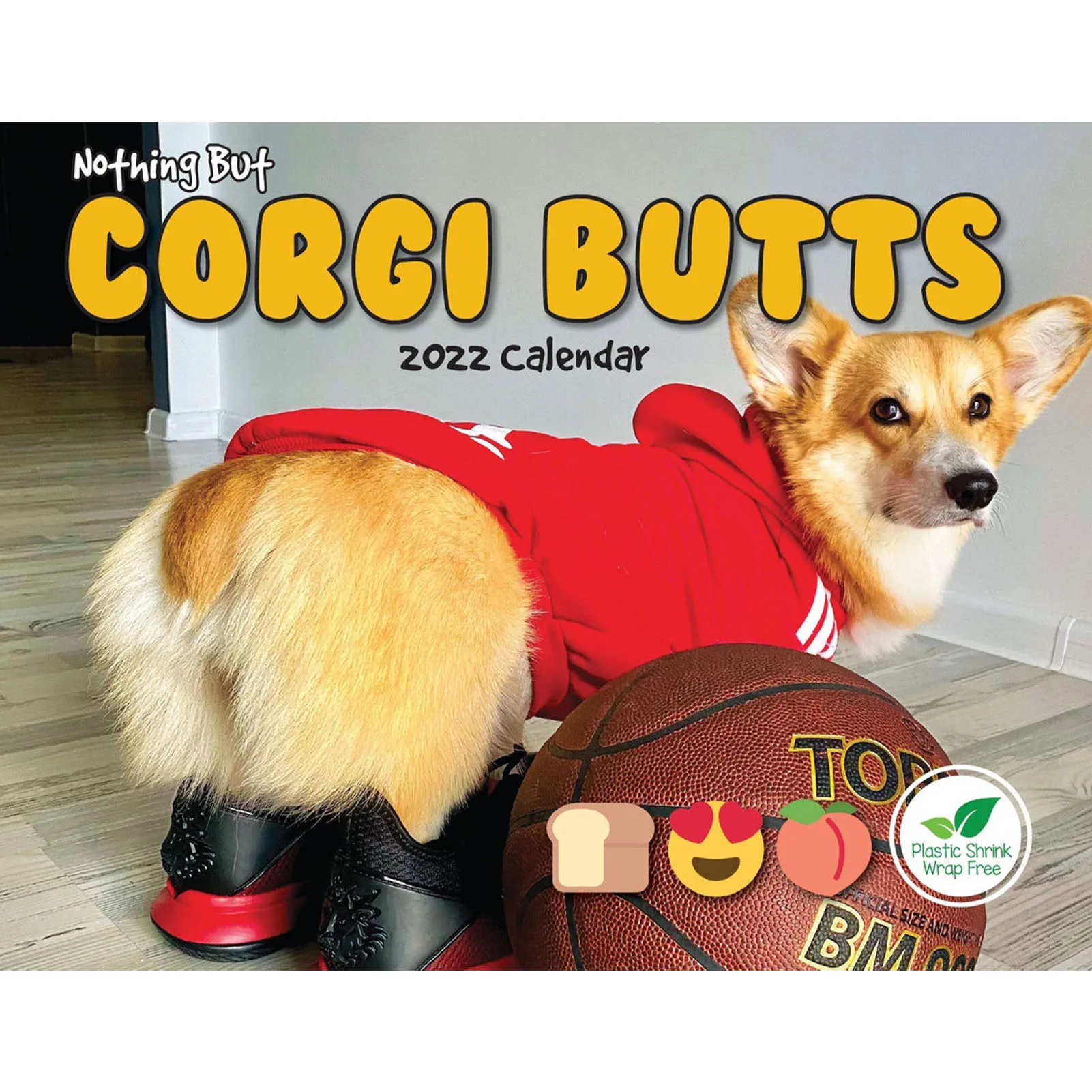 corgi advent