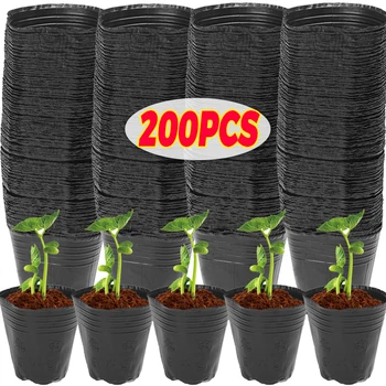 Buy S2a6d5ec82f3a462e9aedf5acbb77fd89v. in Australia.