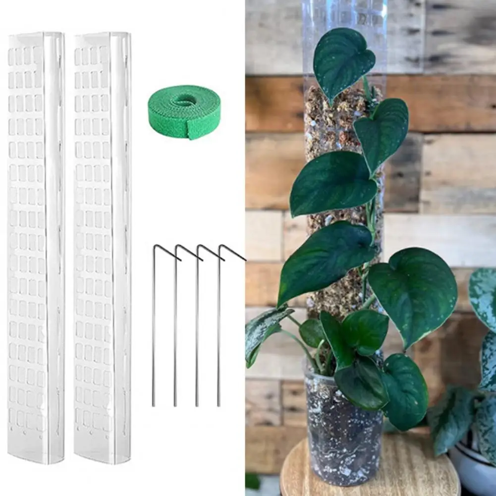 Poteau de mousse en plastique pour plantes grimpantes, pour pieux de  plantes et sphaigne pour soutenir les poteaux de mousse