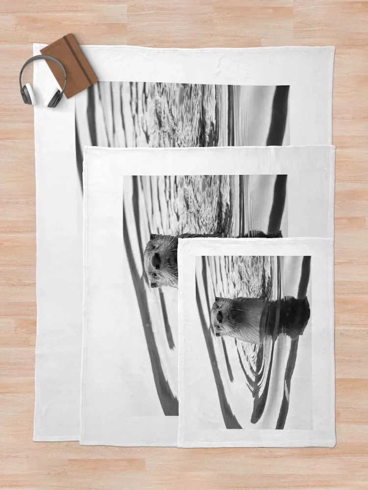 �� ���� ���� ������ ���, ��Ƽ�� ����, ������ ���