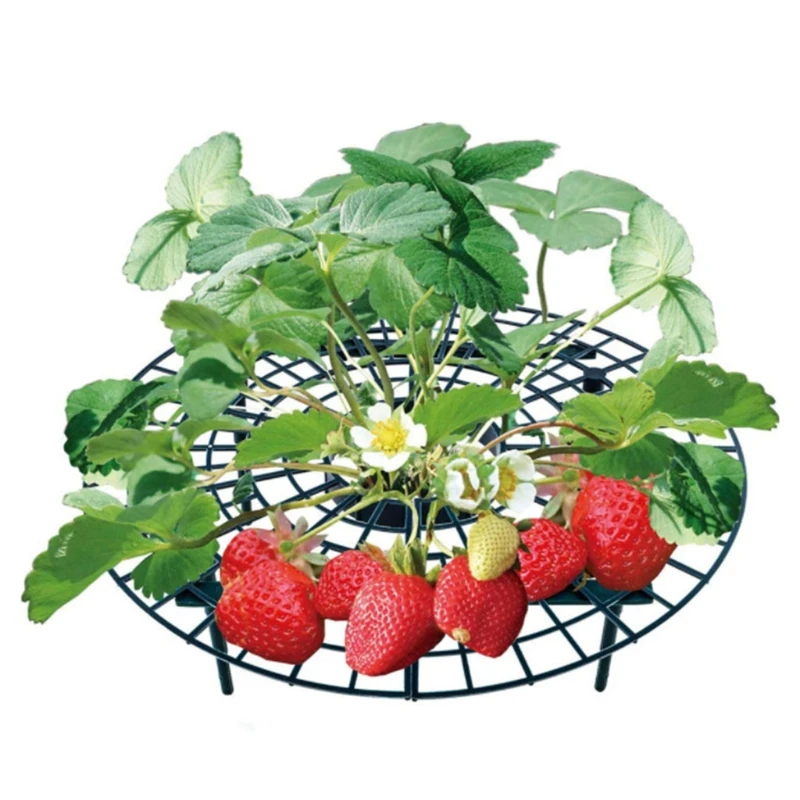 

2023 New Strawberry Stand Frame Holder Balcony Planting Rack Fruit Support Plant Flower