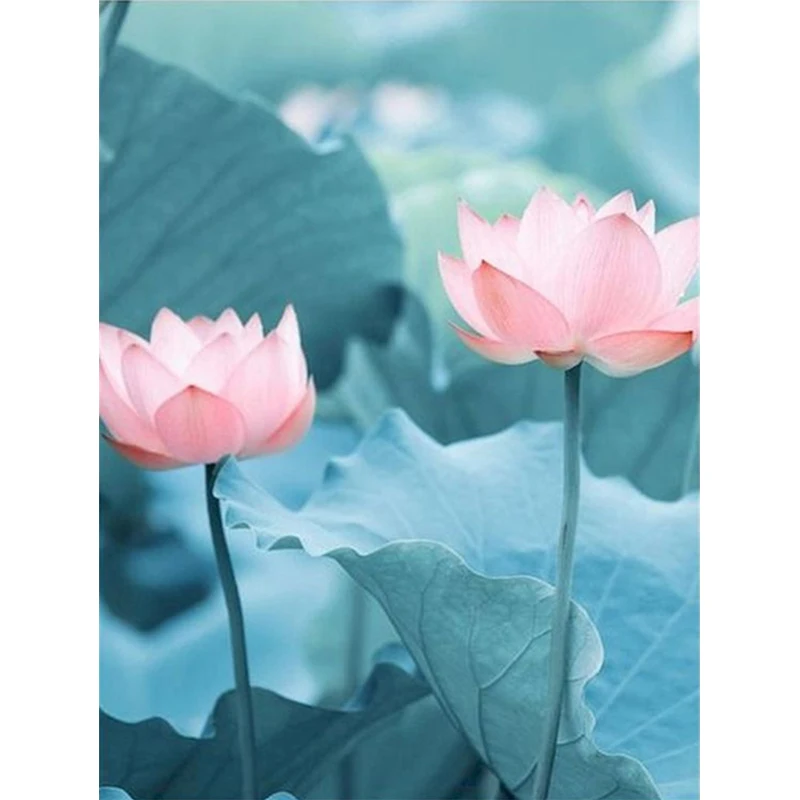 Clearance-Diamond Art - Lotus Flower in