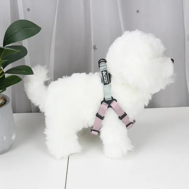 Pet saddle style towing rope small and medium-sized cat and dog safety travel set anti loss pet harness pet outdoor supplies 4