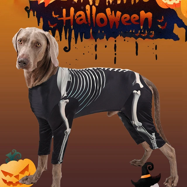 Skeleton Dog Costume Skeleton Dog Costume