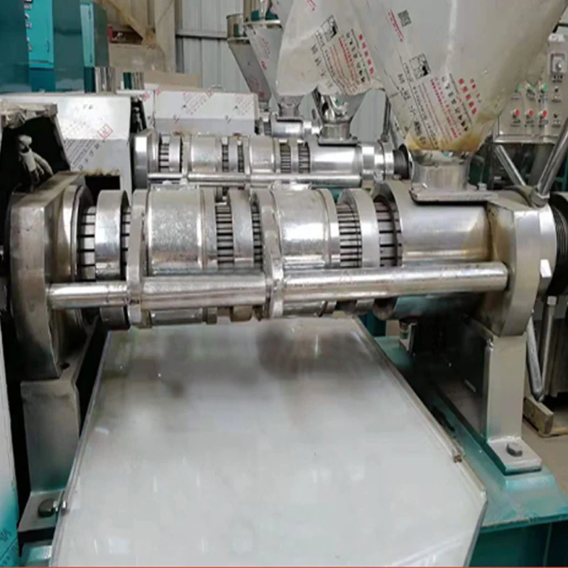 Screw Oil Press Commercial Peanut Rapeseed 50-70Kg per hours Automatic Machine Workshop Sunflower Sesame Squeezer